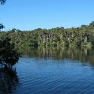 Vendo área de Terreno agrícola 100,000 metros cuadrados, a orillas de un lago, con acceso por tierra y rio
